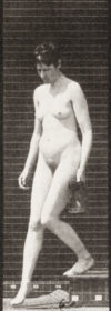 Plate 138 Descending stairs and turning with a pitcher in left hand — figure reference